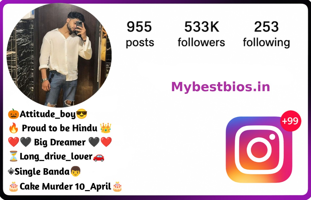 Instagram Bio For Boys 6